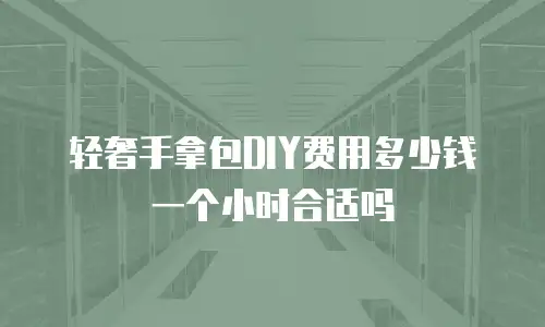 轻奢手拿包DIY费用多少钱一个小时合适吗