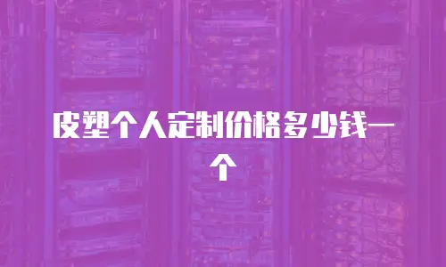 皮塑个人定制价格多少钱一个