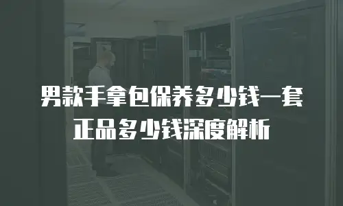 男款手拿包保养多少钱一套正品多少钱深度解析