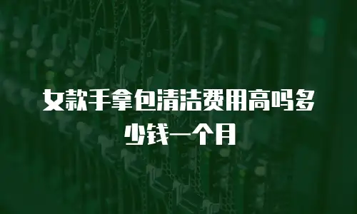 女款手拿包清洁费用高吗多少钱一个月