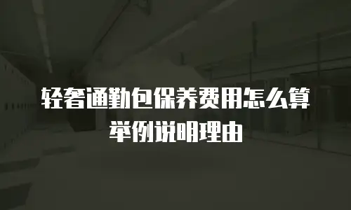 轻奢通勤包保养费用怎么算举例说明理由
