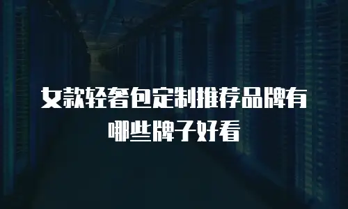 女款轻奢包定制推荐品牌有哪些牌子好看