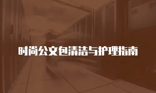 时尚公文包清洁与护理指南
