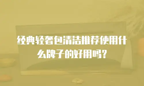 经典轻奢包清洁推荐使用什么牌子的好用吗？
