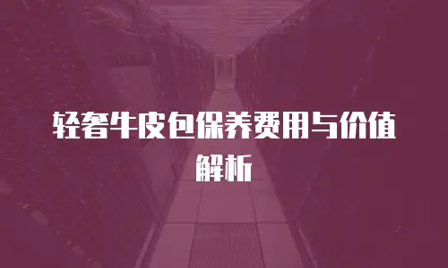 轻奢牛皮包保养费用与价值解析