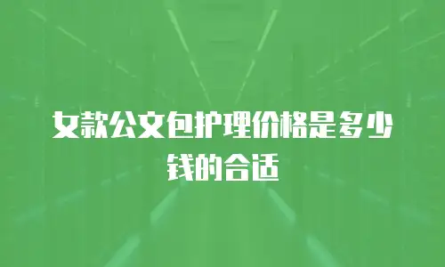 女款公文包护理价格是多少钱的合适