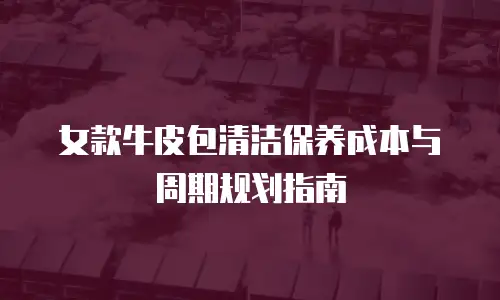 女款牛皮包清洁保养成本与周期规划指南