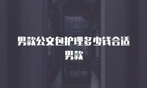 男款公文包护理多少钱合适男款