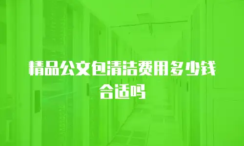 精品公文包清洁费用多少钱合适吗