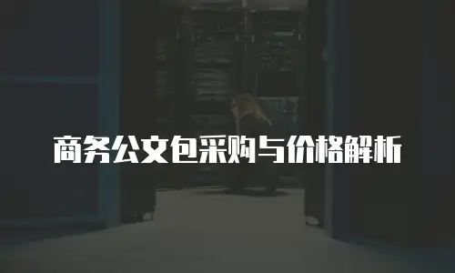 商务公文包采购与价格解析
