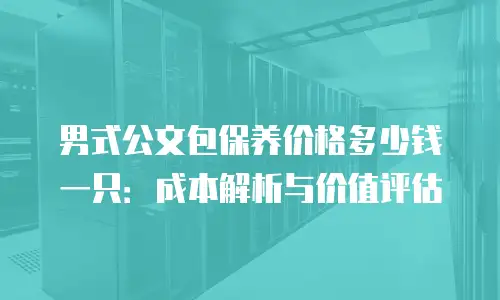 男式公文包保养价格多少钱一只：成本解析与价值评估
