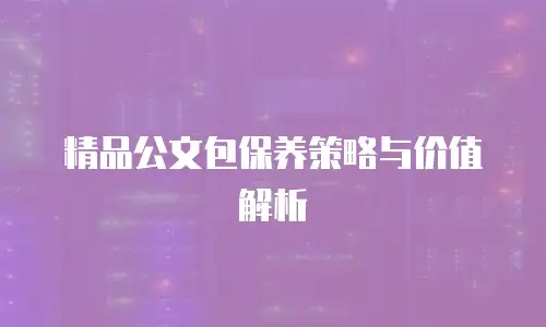 精品公文包保养策略与价值解析