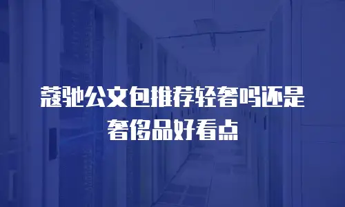 蔻驰公文包推荐轻奢吗还是奢侈品好看点