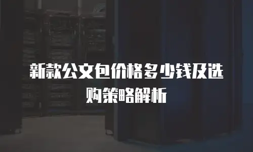 新款公文包价格多少钱及选购策略解析