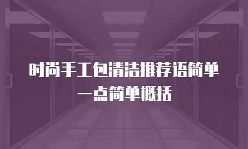时尚手工包清洁推荐语简单一点简单概括