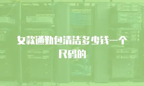 女款通勤包清洁多少钱一个尺码的