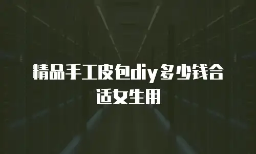 精品手工皮包diy多少钱合适女生用