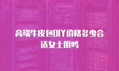 高端牛皮包DIY价格多少合适女士用吗