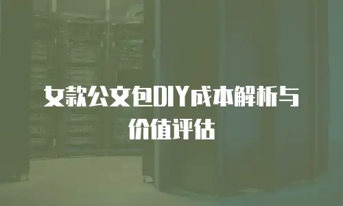 女款公文包DIY成本解析与价值评估