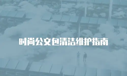 时尚公文包清洁维护指南