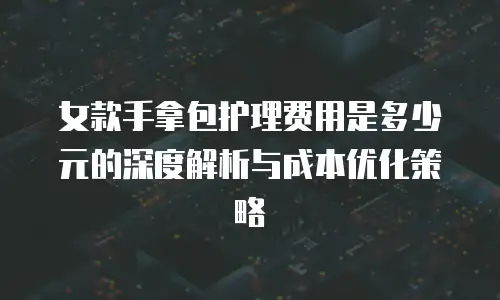 女款手拿包护理费用是多少元的深度解析与成本优化策略