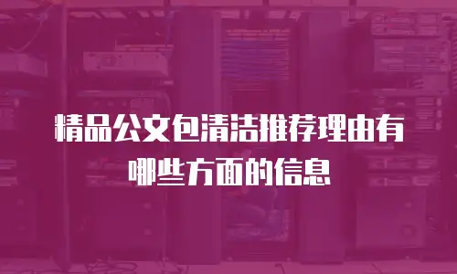 精品公文包清洁推荐理由有哪些方面的信息