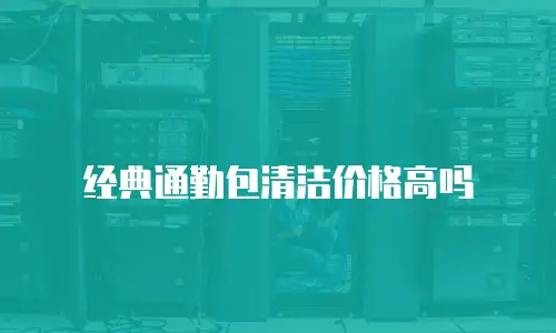 经典通勤包清洁价格高吗