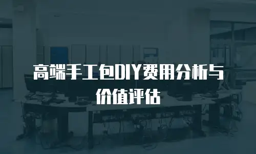 高端手工包DIY费用分析与价值评估