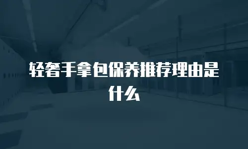 轻奢手拿包保养推荐理由是什么