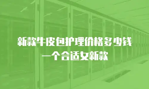新款牛皮包护理价格多少钱一个合适女新款