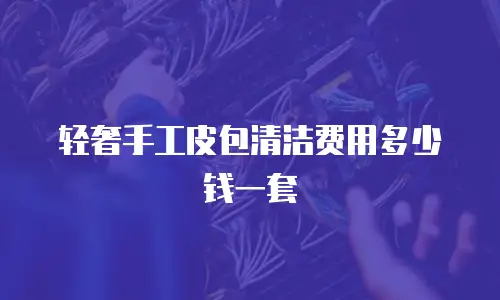 轻奢手工皮包清洁费用多少钱一套