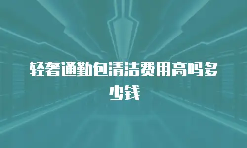 轻奢通勤包清洁费用高吗多少钱