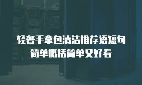 轻奢手拿包清洁推荐语短句简单概括简单又好看