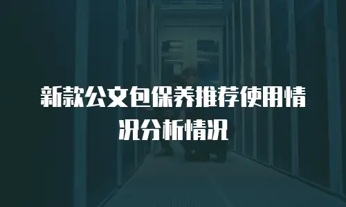 新款公文包保养推荐使用情况分析情况