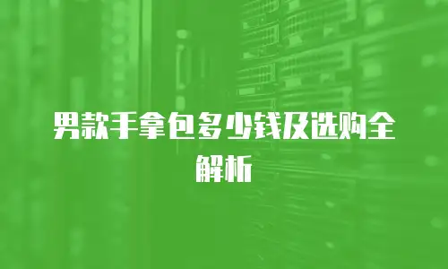 男款手拿包多少钱及选购全解析