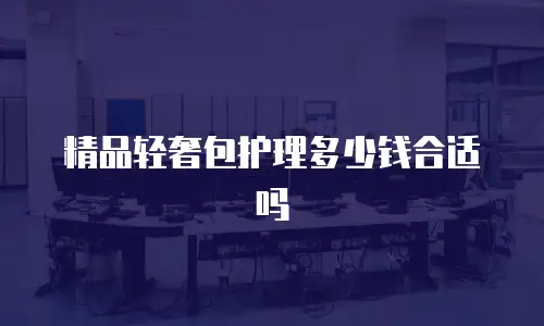精品轻奢包护理多少钱合适吗