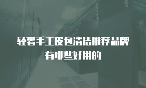 轻奢手工皮包清洁推荐品牌有哪些好用的