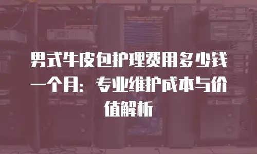 男式牛皮包护理费用多少钱一个月：专业维护成本与价值解析