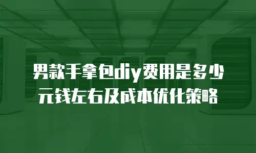 男款手拿包diy费用是多少元钱左右及成本优化策略