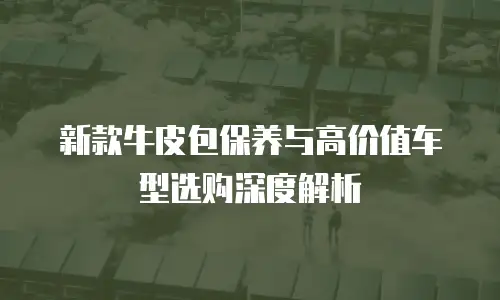 新款牛皮包保养与高价值车型选购深度解析