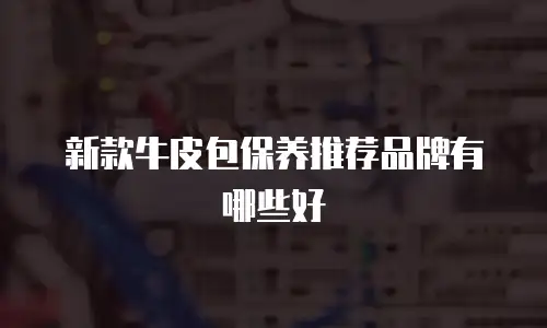 新款牛皮包保养推荐品牌有哪些好