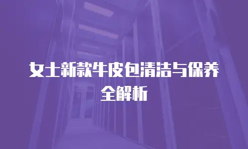 女士新款牛皮包清洁与保养全解析