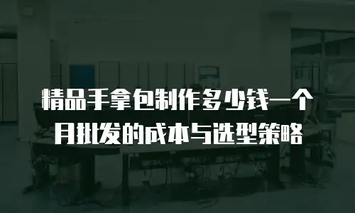 精品手拿包制作多少钱一个月批发的成本与选型策略