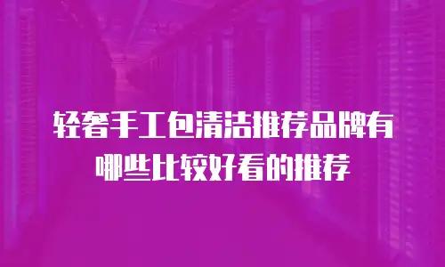 轻奢手工包清洁推荐品牌有哪些比较好看的推荐