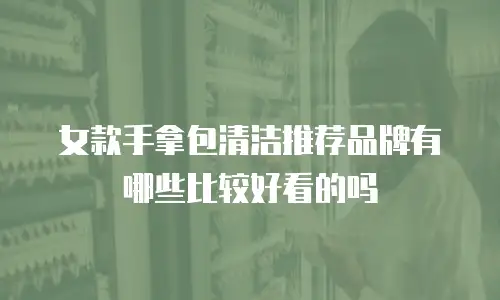 女款手拿包清洁推荐品牌有哪些比较好看的吗