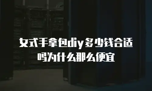 女式手拿包diy多少钱合适吗为什么那么便宜