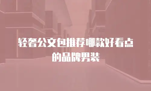 轻奢公文包推荐哪款好看点的品牌男装