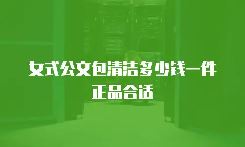 女式公文包清洁多少钱一件正品合适