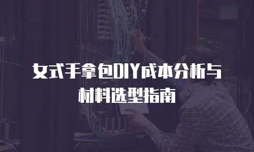 女式手拿包DIY成本分析与材料选型指南