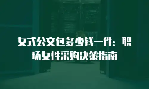 女式公文包多少钱一件：职场女性采购决策指南